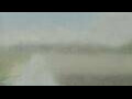 Webcam Alachua, Florida