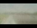 Webcam Alachua, Florida