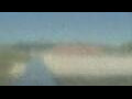 Webcam Alachua, Florida