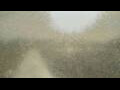 Webcam Alachua, Florida