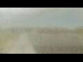 Webcam Alachua, Florida