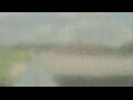 Webcam Alachua, Florida