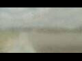 Webcam Alachua, Florida