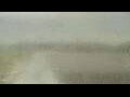 Webcam Alachua, Florida