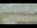 Webcam Alachua, Florida