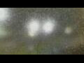 Webcam Alachua, Florida