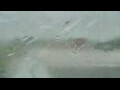 Webcam Alachua, Florida