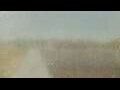 Webcam Alachua, Florida
