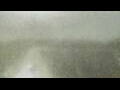 Webcam Alachua, Florida