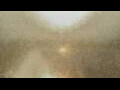 Webcam Alachua, Florida