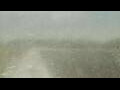 Webcam Alachua, Florida