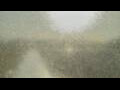 Webcam Alachua, Florida