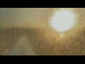 Webcam Alachua, Florida