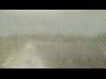 Webcam Alachua, Florida