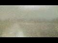 Webcam Alachua, Florida
