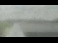 Webcam Alachua, Florida