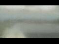 Webcam Alachua, Florida