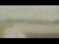 Webcam Alachua, Florida