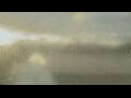 Webcam Alachua, Florida