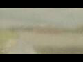 Webcam Alachua, Florida