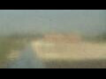 Webcam Alachua, Florida