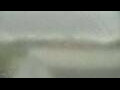 Webcam Alachua, Florida