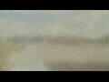 Webcam Alachua, Florida