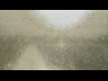 Webcam Alachua, Florida