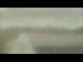 Webcam Alachua, Florida