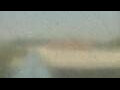 Webcam Alachua, Florida