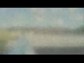 Webcam Alachua, Florida