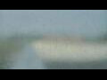 Webcam Alachua, Florida