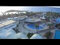 Webcam Agia Napa