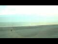 Webcam Norderney