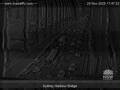 Webcam Sydney