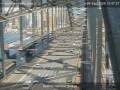Webcam Sydney