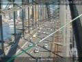 Webcam Sydney