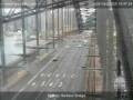 Webcam Sydney