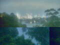 Webcam Linley Point