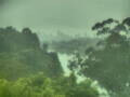 Webcam Linley Point