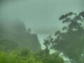 Webcam Linley Point