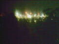 Webcam Linley Point