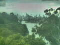 Webcam Linley Point