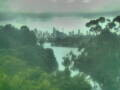 Webcam Linley Point