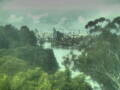 Webcam Linley Point
