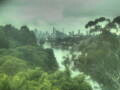 Webcam Linley Point
