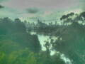Webcam Linley Point