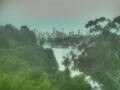 Webcam Linley Point