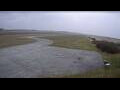 Webcam Baltrum: Aérodrome