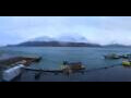 Webcam Longyearbyen (Spitzbergen)